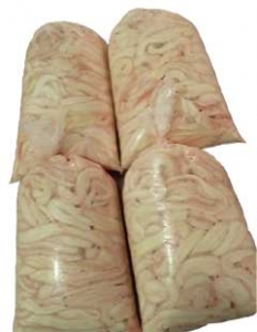 SpinalCords_web240px